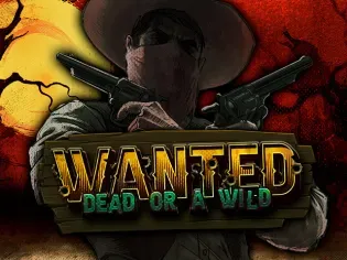 Wanted Dead or a Wild screenshot